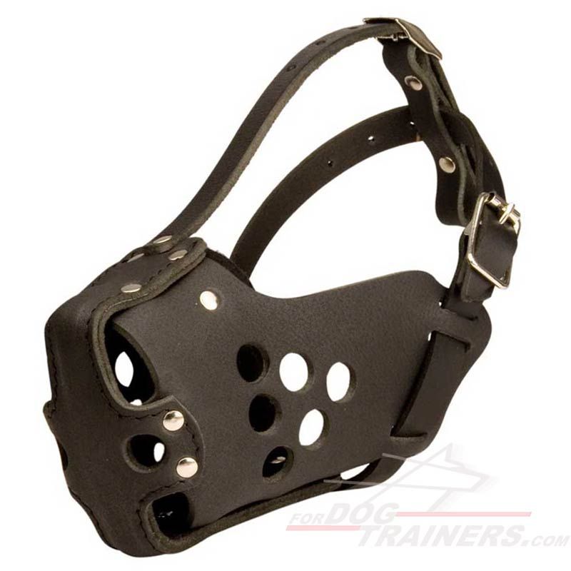 Leather dog muzzle