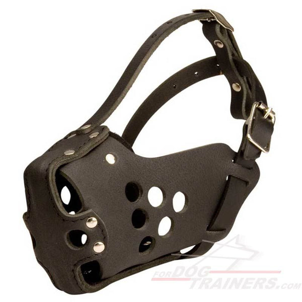Leather dog muzzle