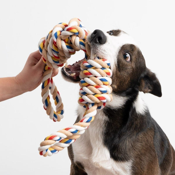 Dog rope toy